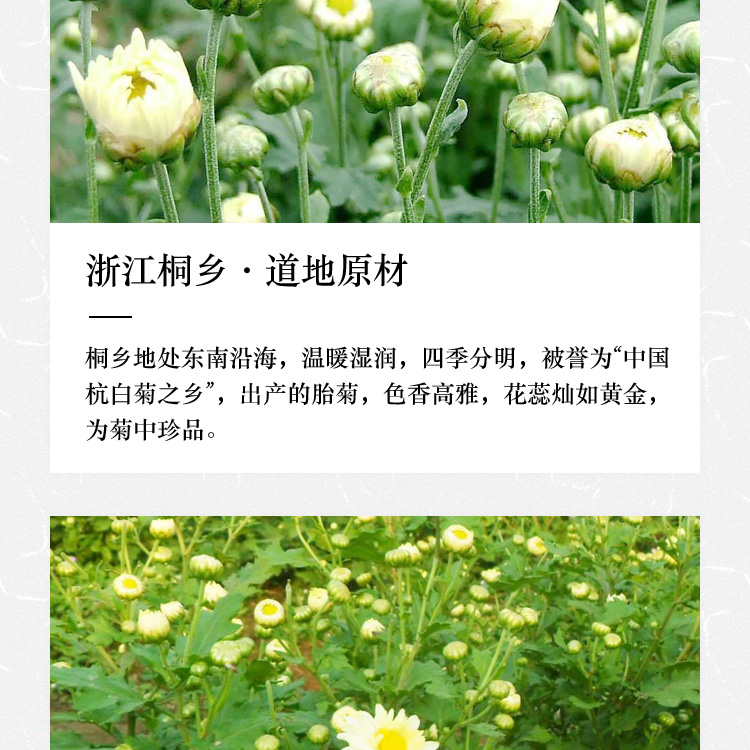 菊花详情页_04.jpg