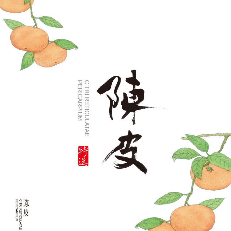 陈皮山楂礼盒详情页_01.jpg