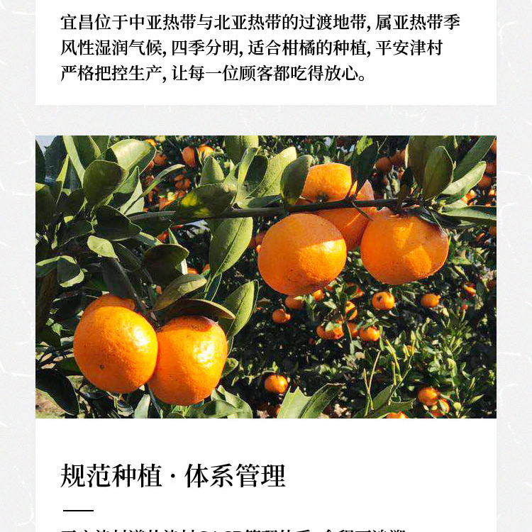 陈皮山楂礼盒详情页_03.jpg
