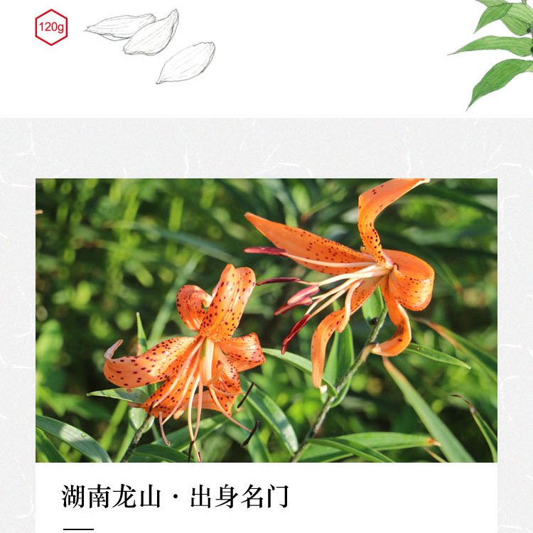 百合莲子礼盒详情页_02.jpg