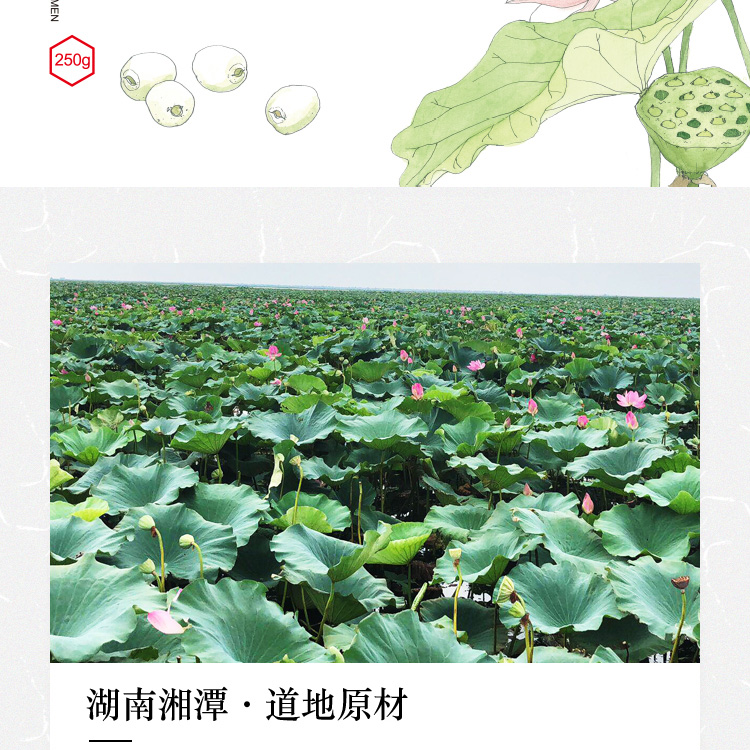百合莲子礼盒详情页_11.jpg