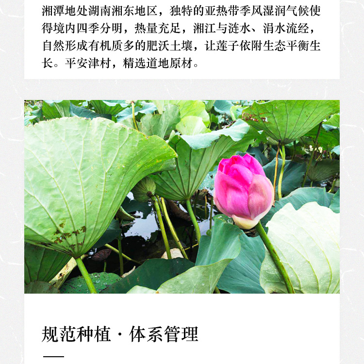 百合莲子礼盒详情页_12.jpg
