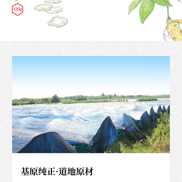 人参枸杞子礼盒详情页_02.jpg