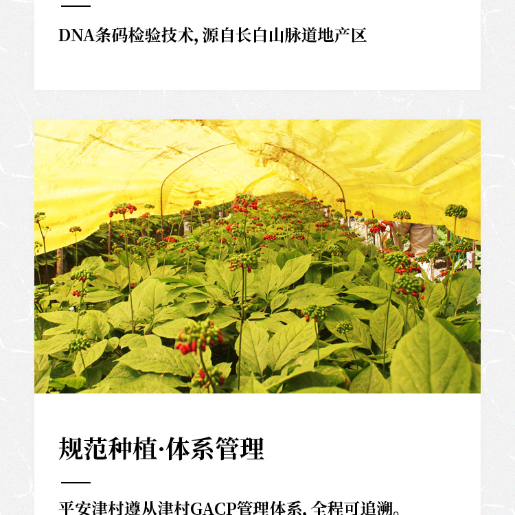 人参枸杞子礼盒详情页_03.jpg