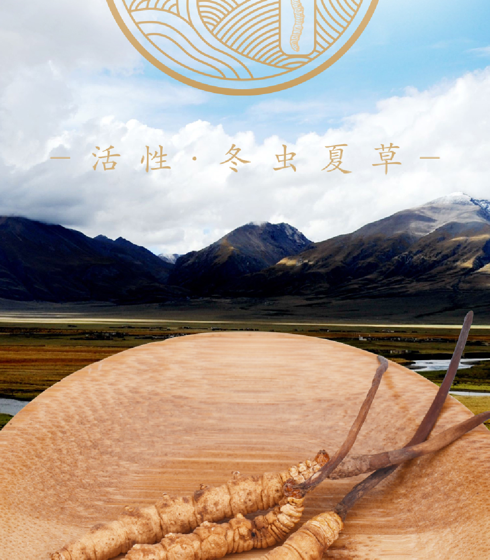冬虫夏草详情页_画板-1_02.jpg