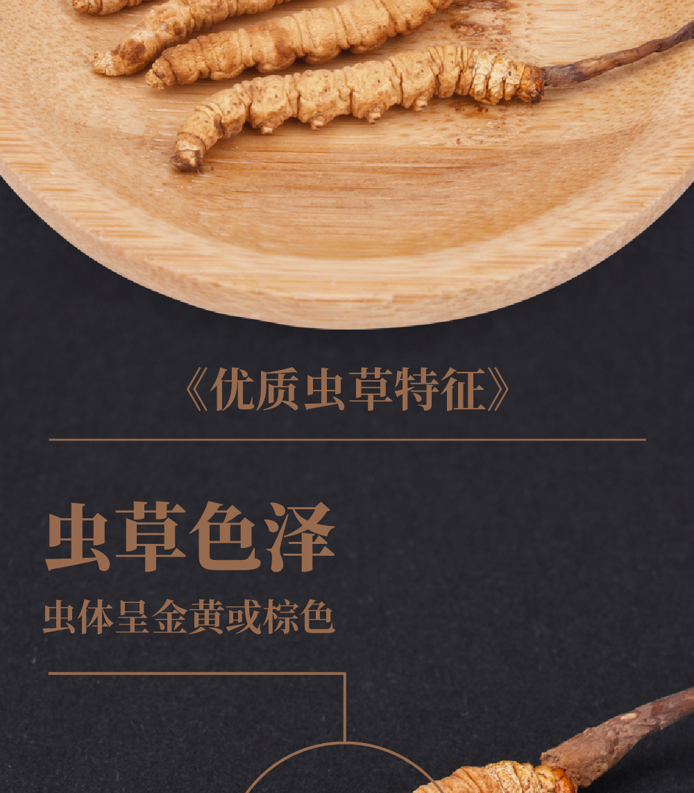 冬虫夏草详情页_画板-1_03.jpg