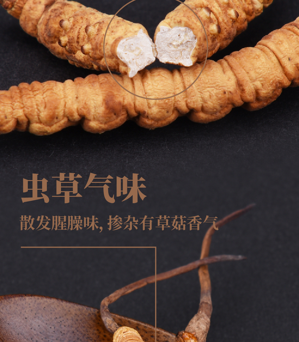 冬虫夏草详情页_画板-1_08.jpg