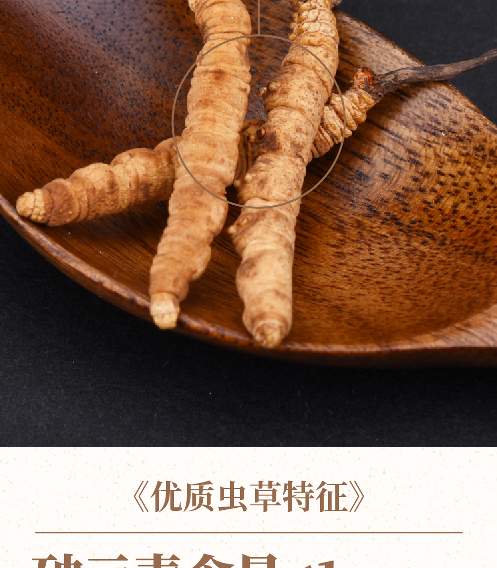 冬虫夏草详情页_画板-1_09.jpg
