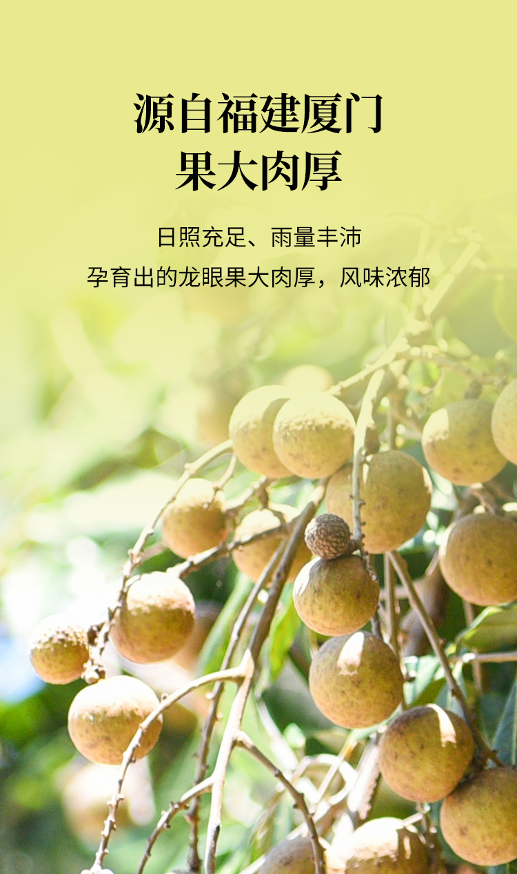 龙眼肉详情页-20260120_04.jpg