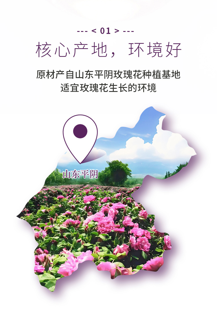 玫瑰花详情_04.jpg