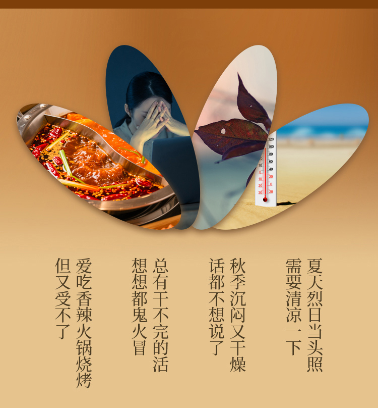 菊花甘草固体饮料详情页_01.jpg