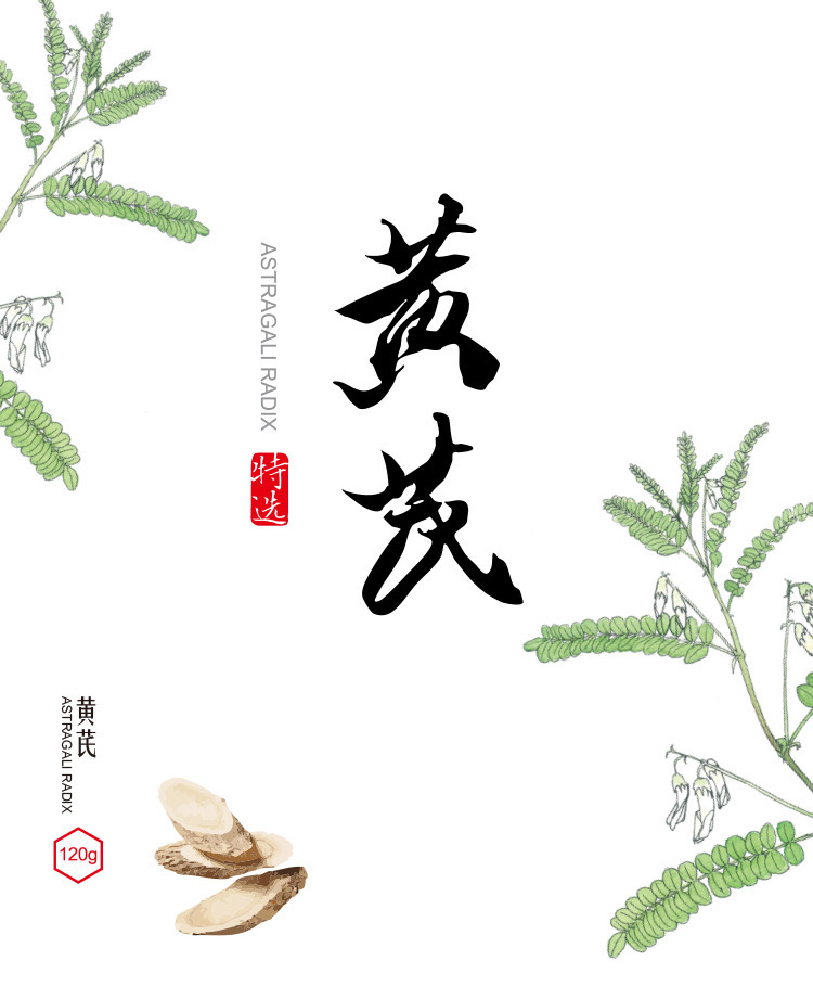 黄芪-01.jpg