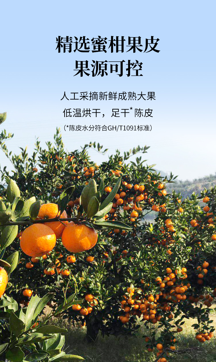 陈皮-04.jpg