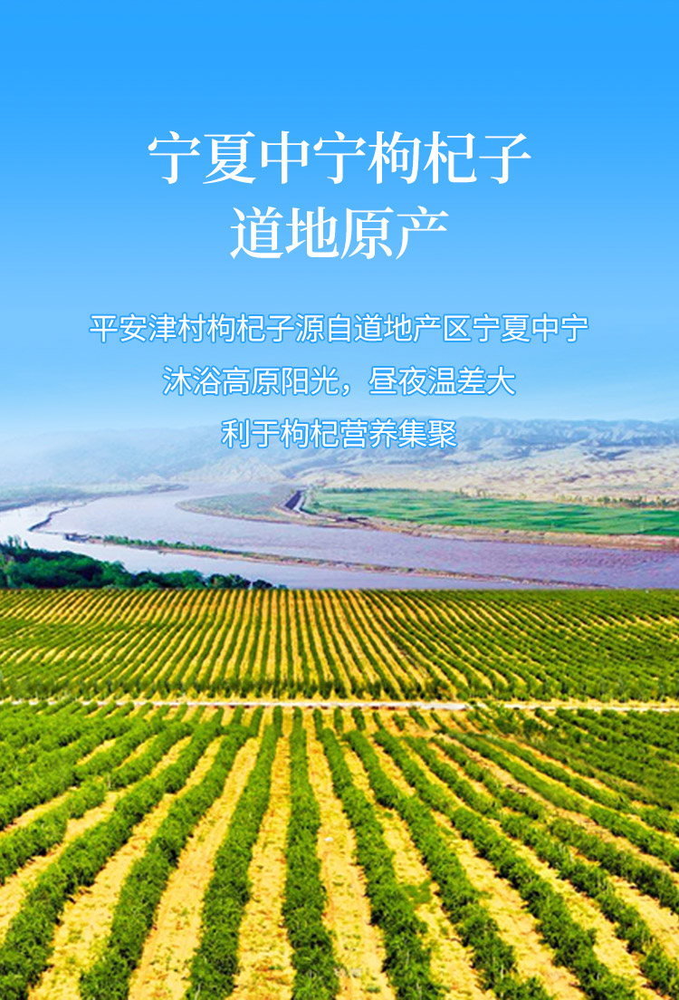枸杞子菊花礼盒_04.jpg
