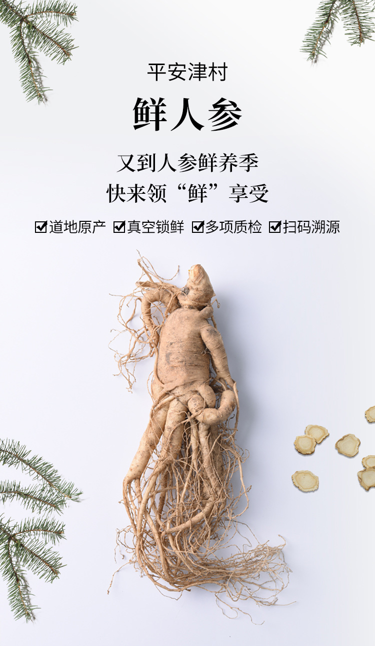 鲜人参-贡品装-01.jpg