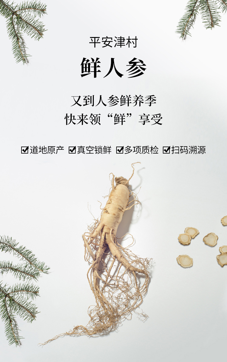 鲜人参-尊品装-01.jpg