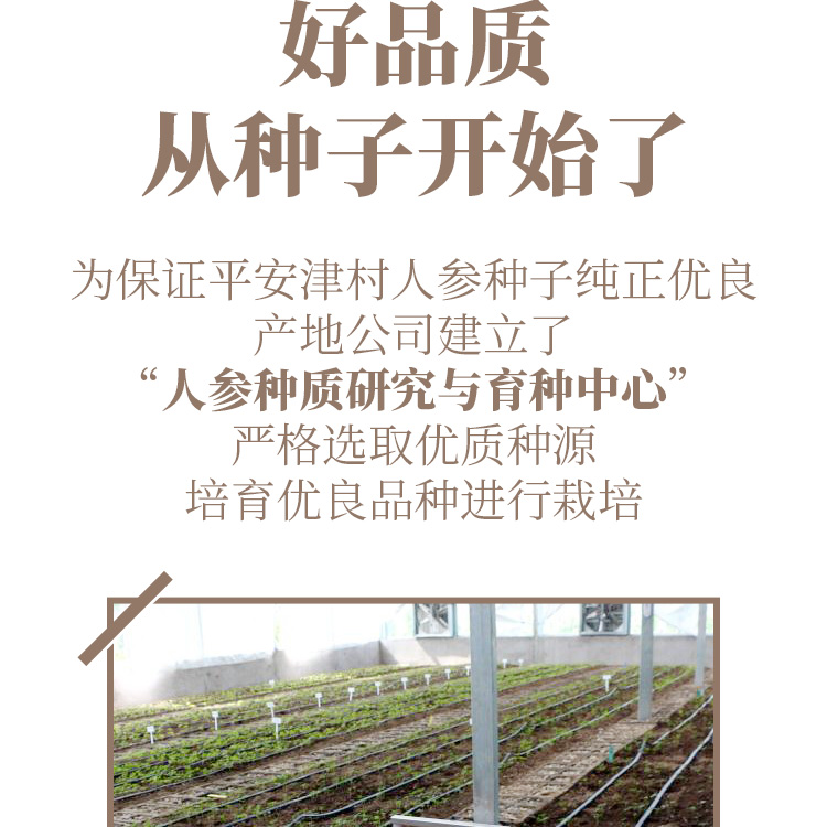 全须生晒人参礼盒50克详情页_03.jpg