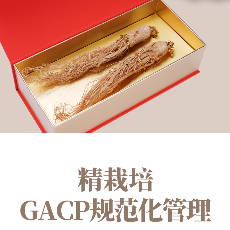 全须生晒人参礼盒50克详情页_06.jpg
