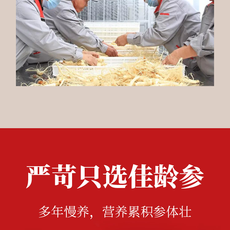 全须生晒人参礼盒50克详情页_09.jpg